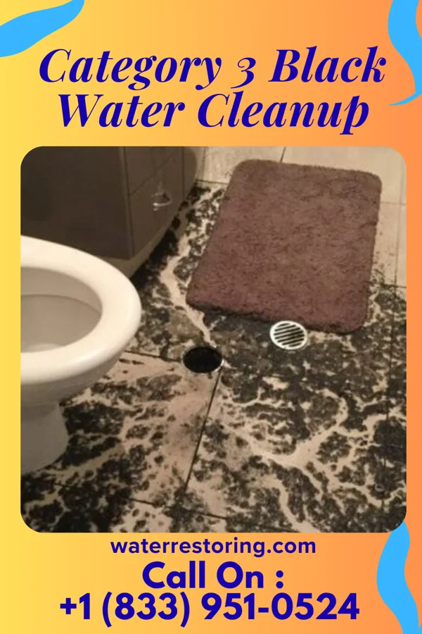 Category 3 Black Water Cleanup in Morganton, NC