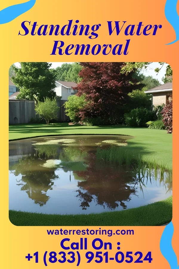 Standing Water Removal in Morganton, NC
